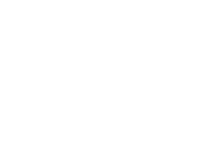 LOGO-VITALIS-HD